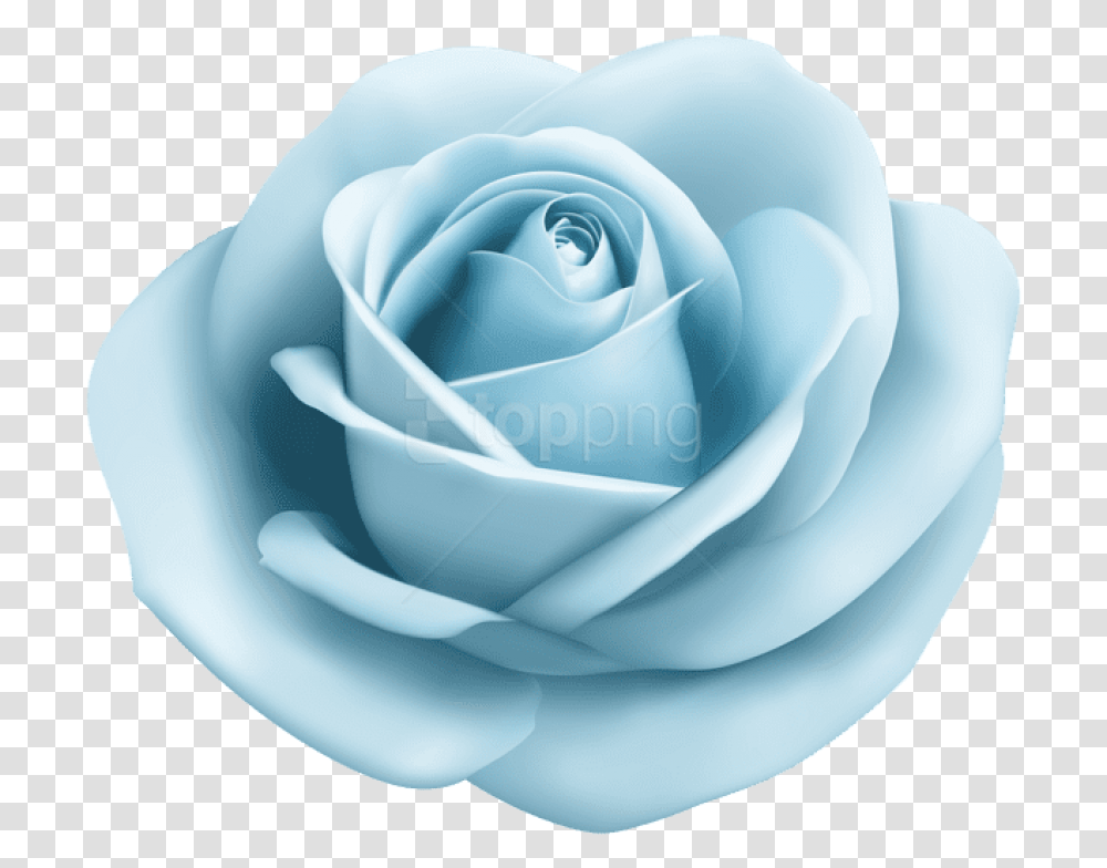 Download Pastel Blue Lightblue Babyblue Bluerose Rose Roses Light Blue Rose, Flower, Plant Transparent Png