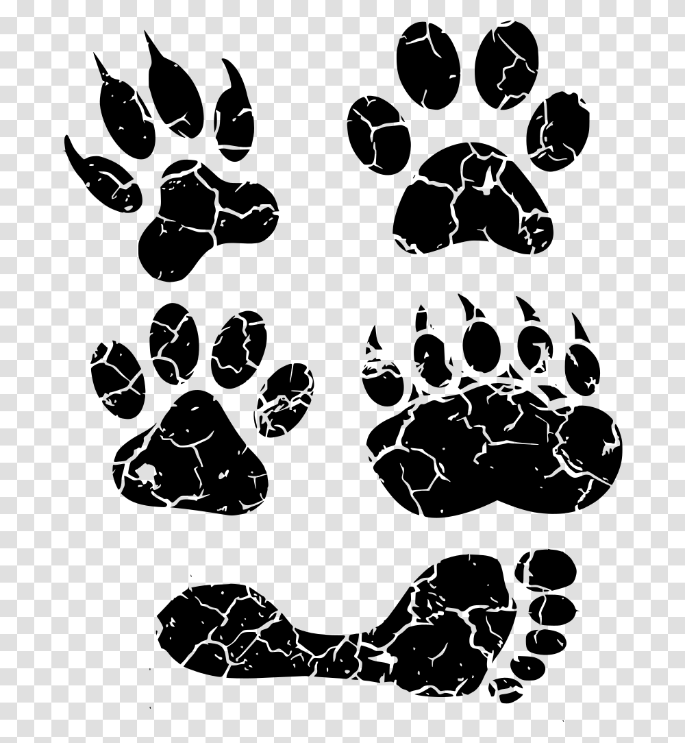 Download Paw Paw, Gray, World Of Warcraft Transparent Png
