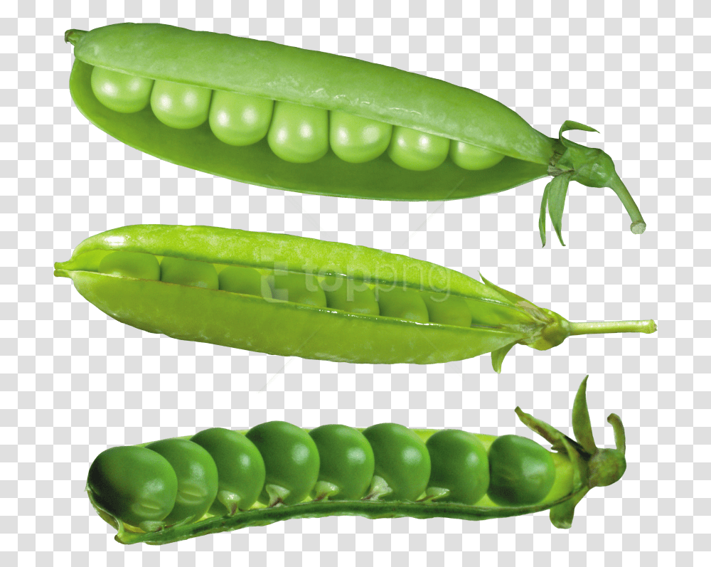 Download Pea Images Desenho Lentilha, Plant, Vegetable, Food Transparent Png