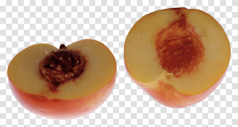 Download Peaches Image For Free Peach Transparent Png