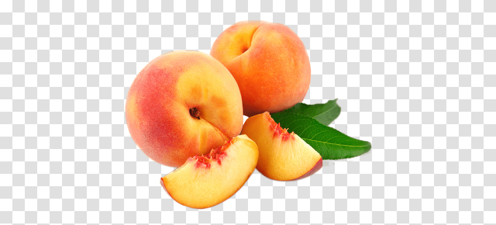 Download Peaches Milatte, Plant, Fruit, Food, Orange Transparent Png