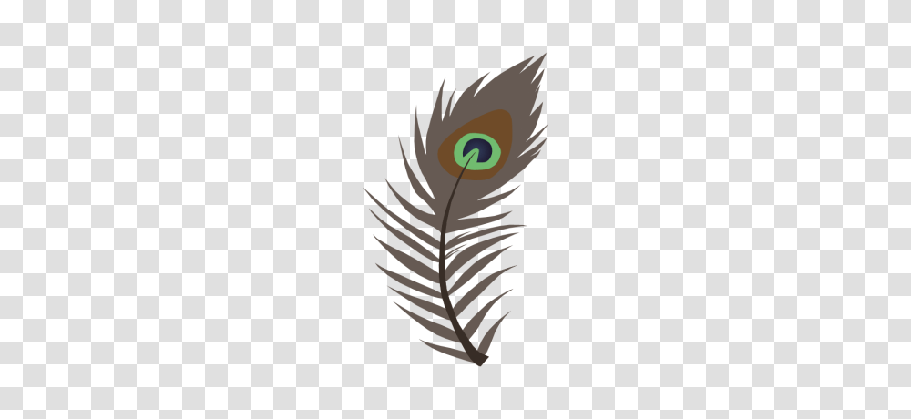 Download Peacock Feather Free Image And Clipart, Bird, Animal, Plant Transparent Png