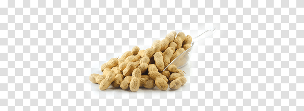 Download Peanuts Peanut, Plant, Vegetable, Food Transparent Png