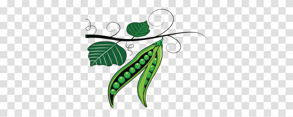 Download Peas Drawing Green Bean Peas Clipart, Plant, Vegetable, Food, Scissors Transparent Png