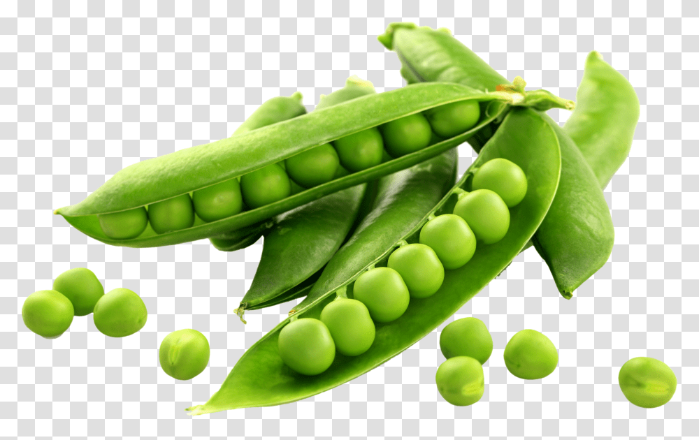 Download Peas Green Peas Transparent Png
