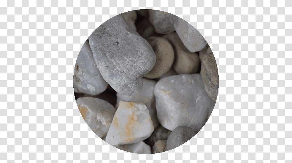 Download Pebbles Cobblestone, Rock, Limestone, Fungus, Photography Transparent Png