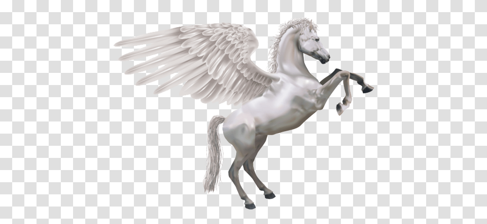 Download Pegasus Free Pegasus, Bird, Animal, Horse, Mammal Transparent Png