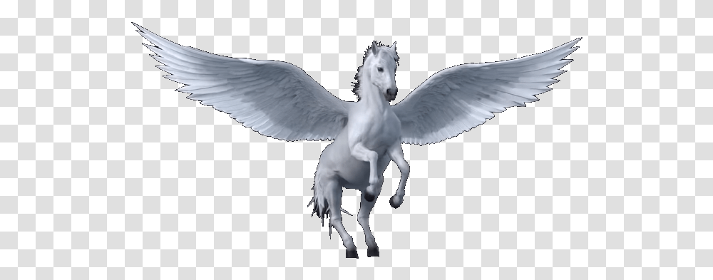 Download Pegasus Tri Star Columbia Tristar Home Entertainment Horse, Bird, Animal, Art, Mammal Transparent Png