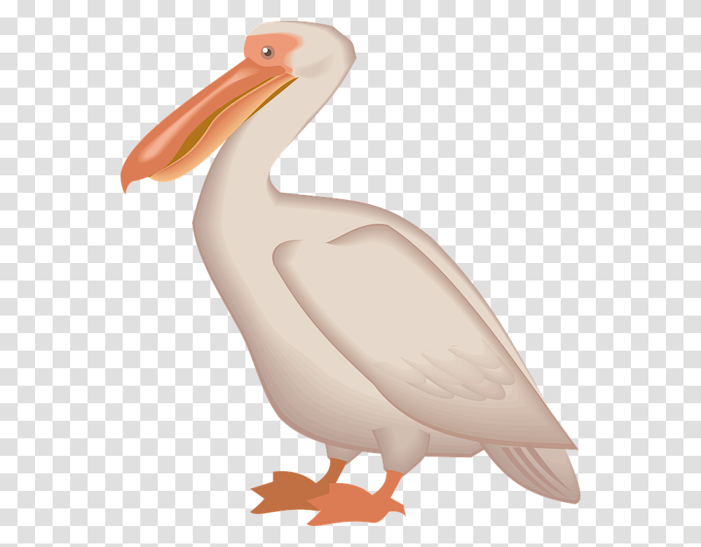 Download Pelican Cross Stitch Pelican Pattern, Bird, Animal Transparent Png