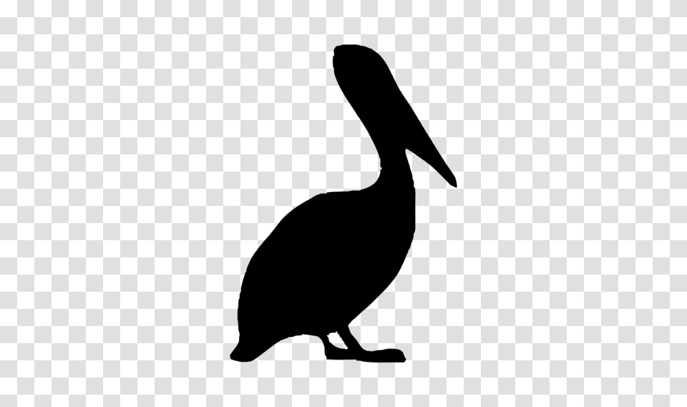 Download Pelican Free Image And Clipart, Gray, World Of Warcraft Transparent Png