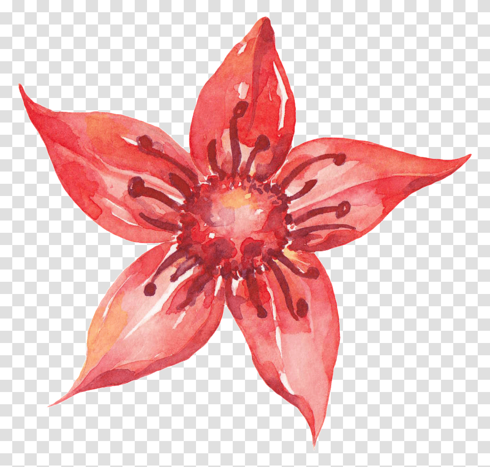 Download Pentagram Red Flower Cartoon Illustration, Plant, Petal, Blossom, Dahlia Transparent Png
