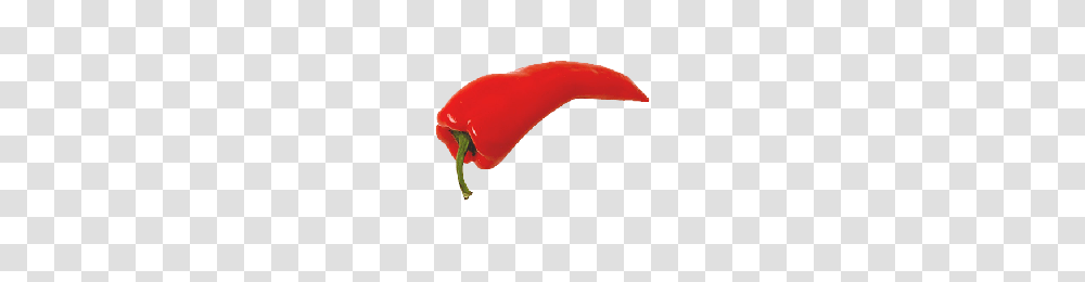 Download Pepper Free Photo Images And Clipart Freepngimg, Plant, Vegetable, Food, Bell Pepper Transparent Png