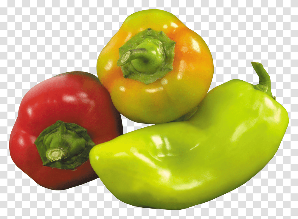 Download Pepper Image Hq Background Green Pepper, Plant, Vegetable, Food, Bell Pepper Transparent Png