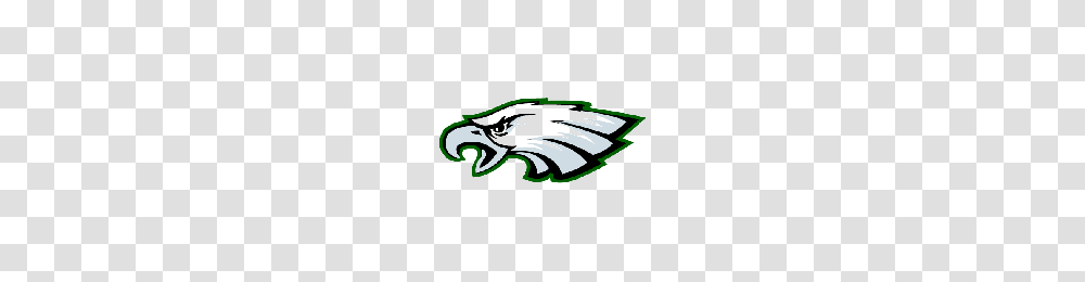 Download Philadelphia Eagles Free Photo Images And Clipart, Animal, Bird, Mammal, Wildlife Transparent Png