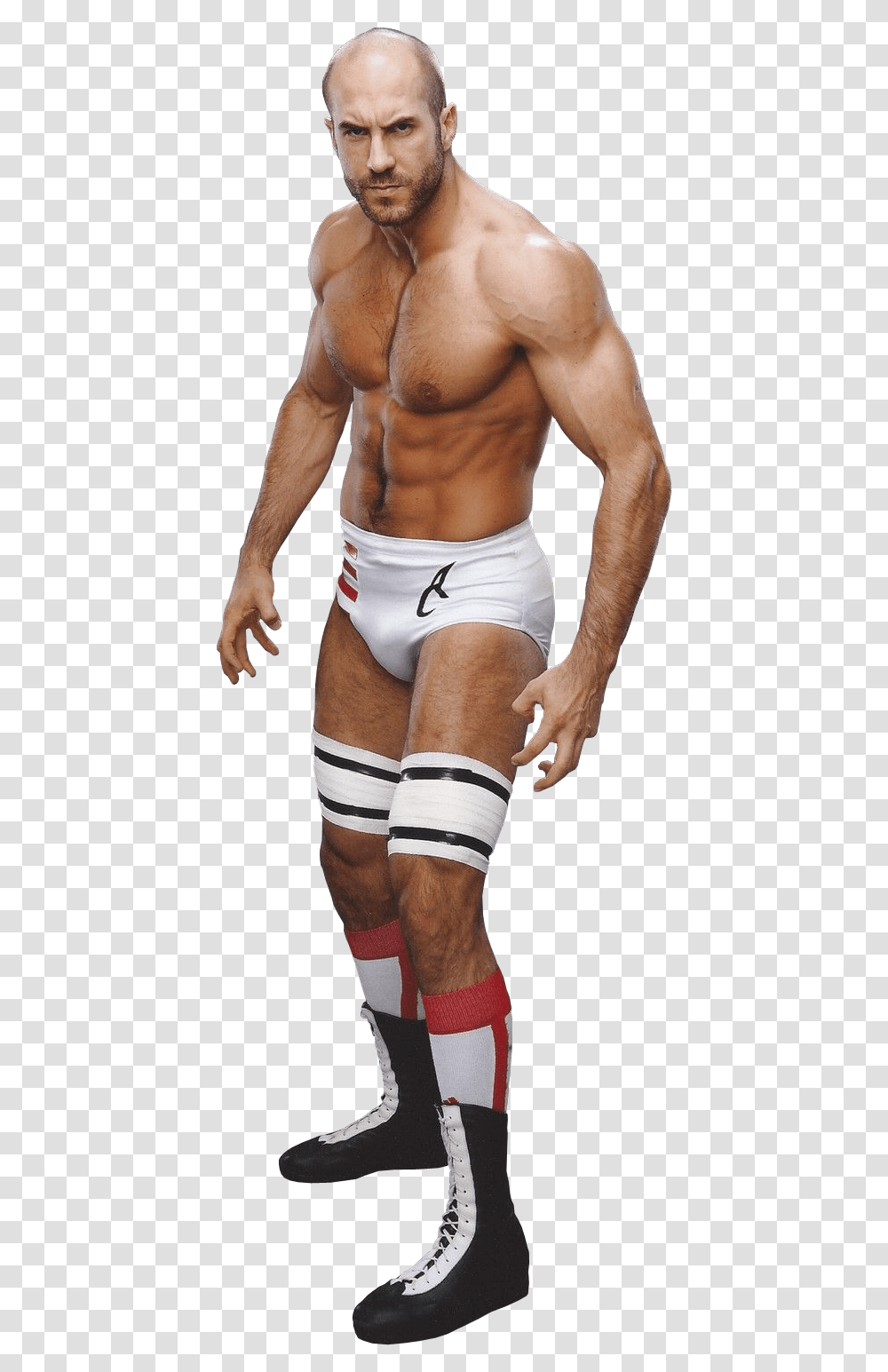 Download Photo Bodybuilder, Clothing, Underwear, Lingerie, Person Transparent Png