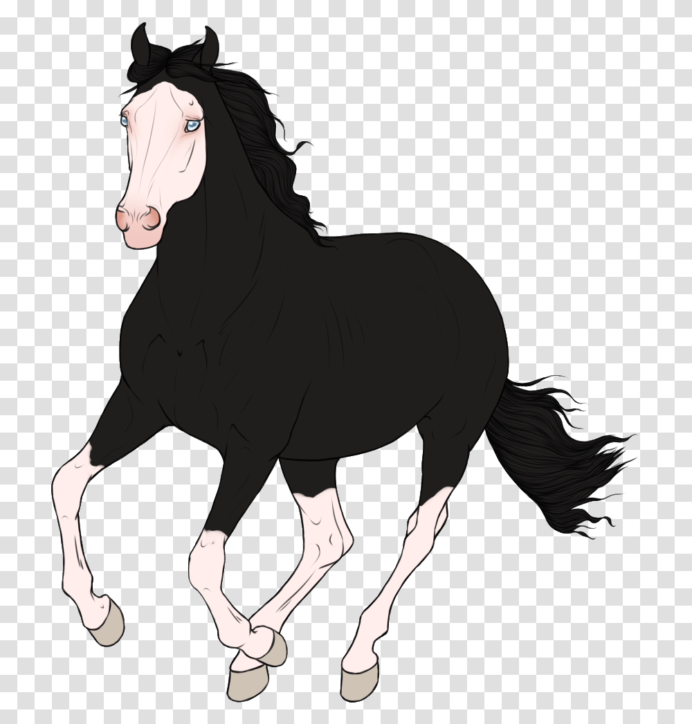 Download Photo Gunshot Mane Full Size Image Pngkit Animal Figure, Mammal, Horse, Stallion, Colt Horse Transparent Png