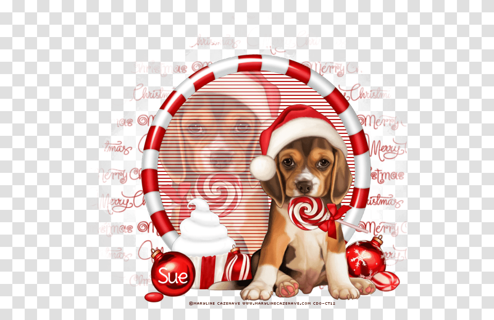 Download Photo Merry Christmas Beagle, Hound, Pet, Canine, Animal Transparent Png