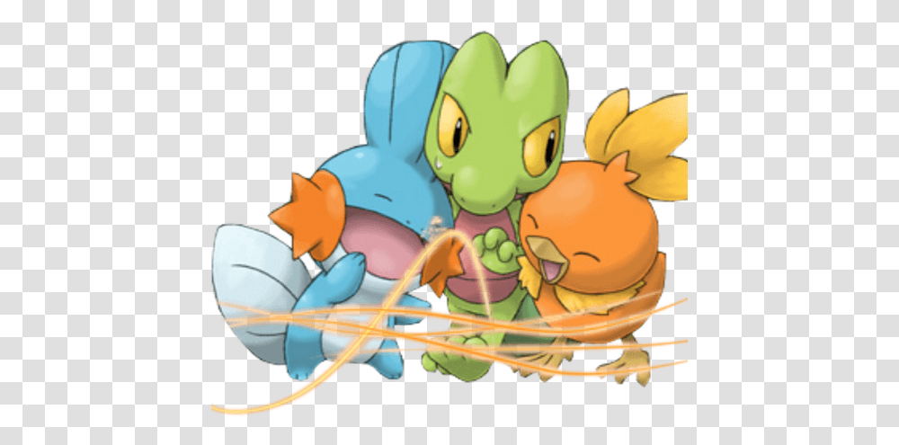 Download Photo Pokemon Starters Full Size Image Pngkit Arcko Poussifeu Et Gobou, Toy, Animal, Invertebrate, Insect Transparent Png