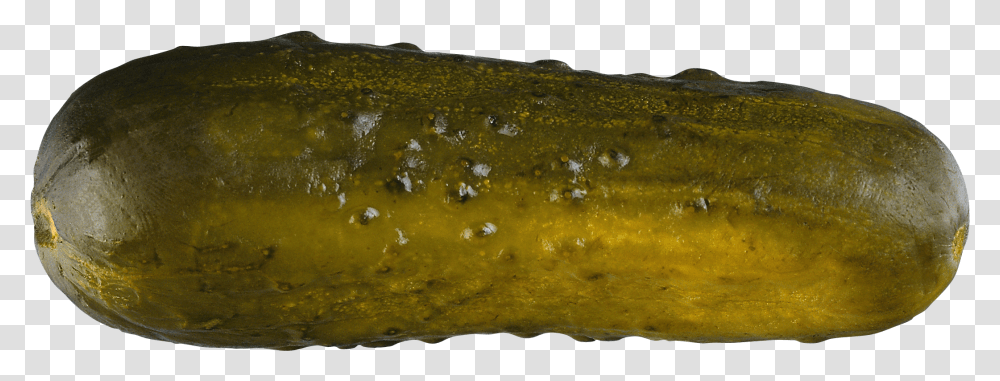 Download Pickle Image With No Pickle, Relish, Food, Bread Transparent Png