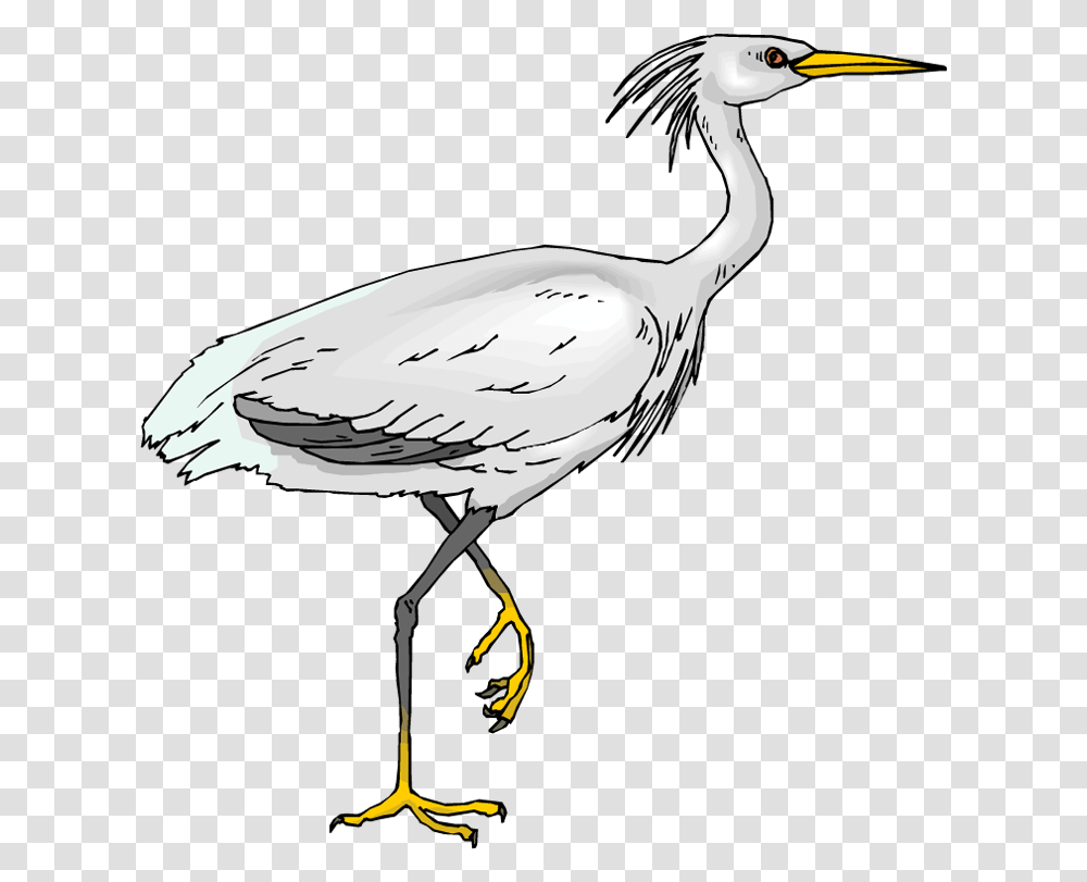 Download Picture Crane Bird Clipart White Heron Clip Art, Animal, Waterfowl, Stork, Ardeidae Transparent Png
