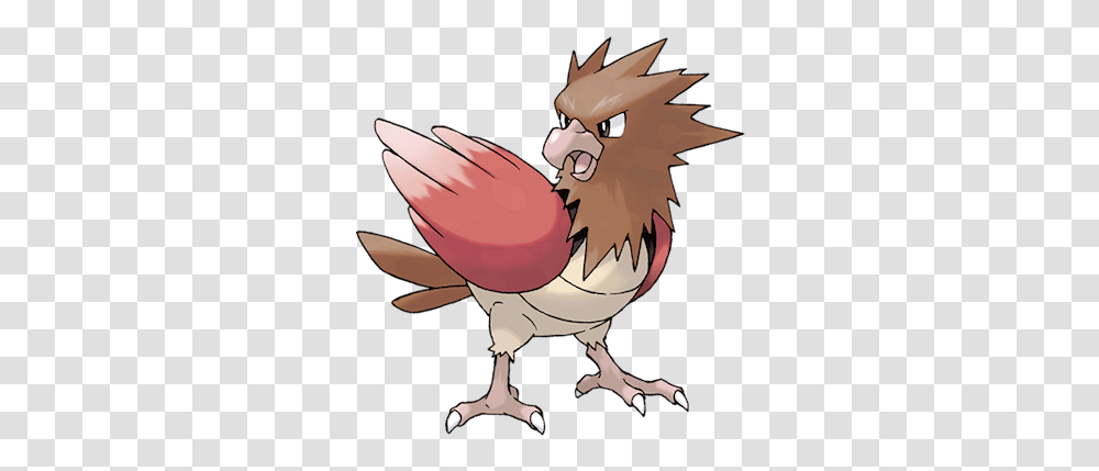 Download Pidgey What Kind Of Casual Pokemon Spearow, Bird, Animal, Fowl, Poultry Transparent Png
