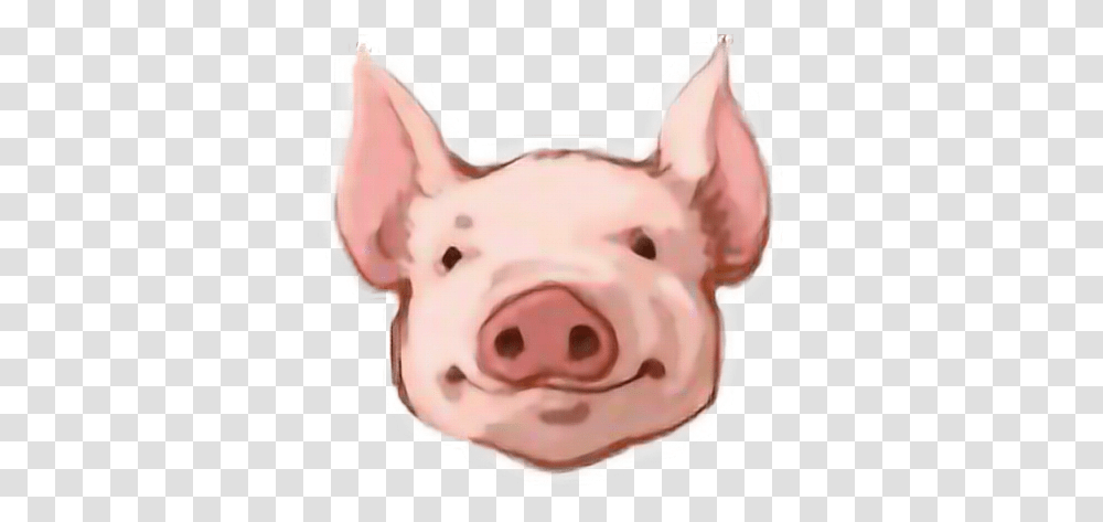 Download Pig Head Background Pig Head Clipart, Piggy Bank, Mammal, Animal, Person Transparent Png
