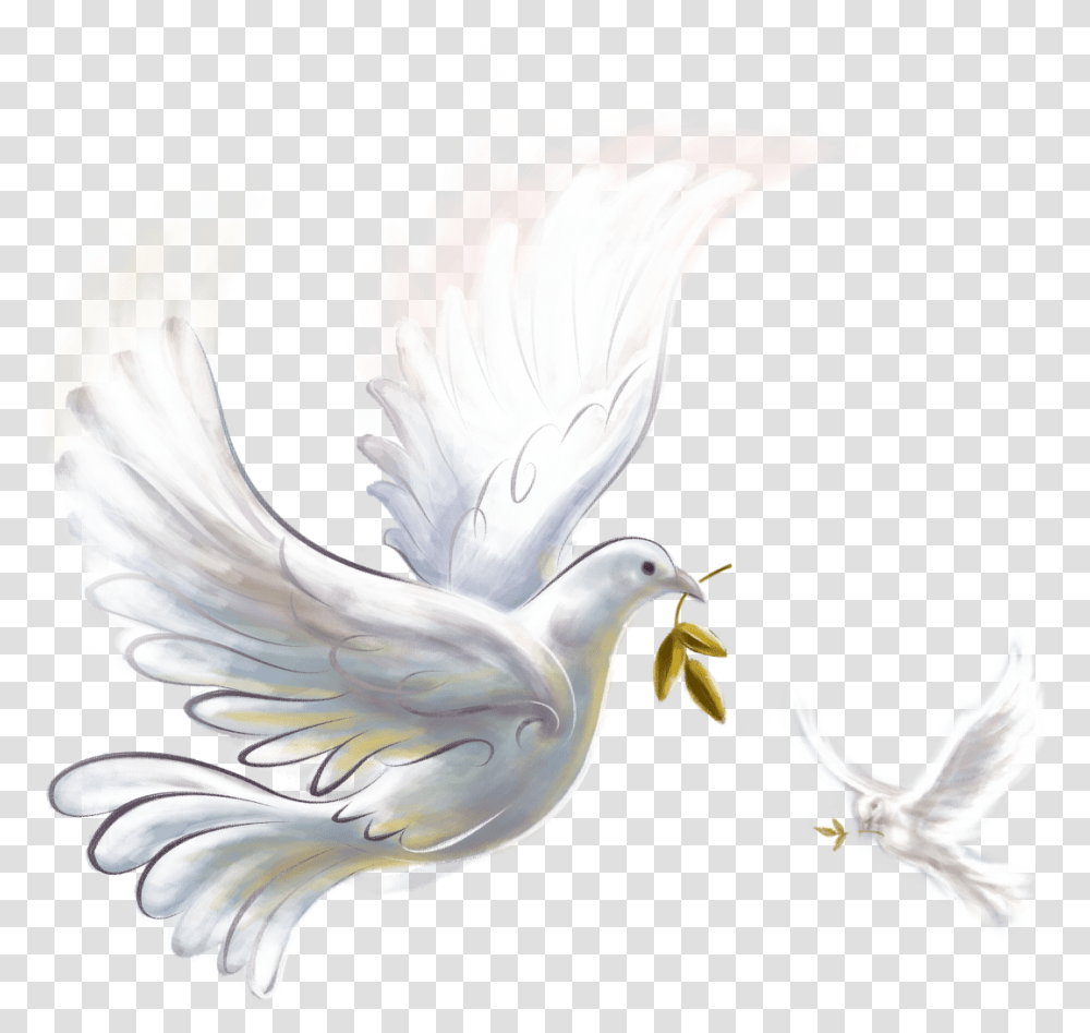 Download Pigeon Image With No Background Pngkeycom Peace On Earth Happy Christmas 2019, Bird, Animal, Chicken, Poultry Transparent Png