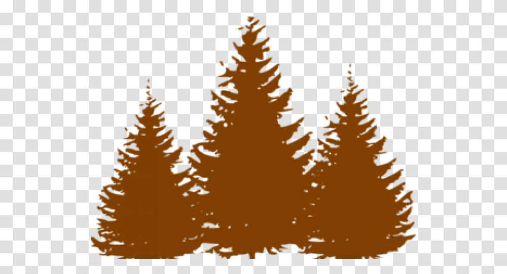 Download Pine Tree Clipart Oregon Christmas Tree Silhouette, Plant, Bird, Animal, Ornament Transparent Png
