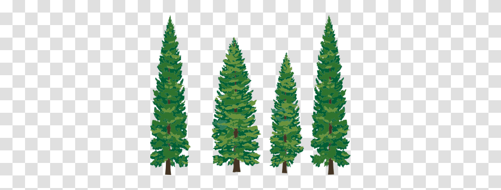 Download Pine Tree Free Image And Clipart, Plant, Ornament, Fir, Abies Transparent Png