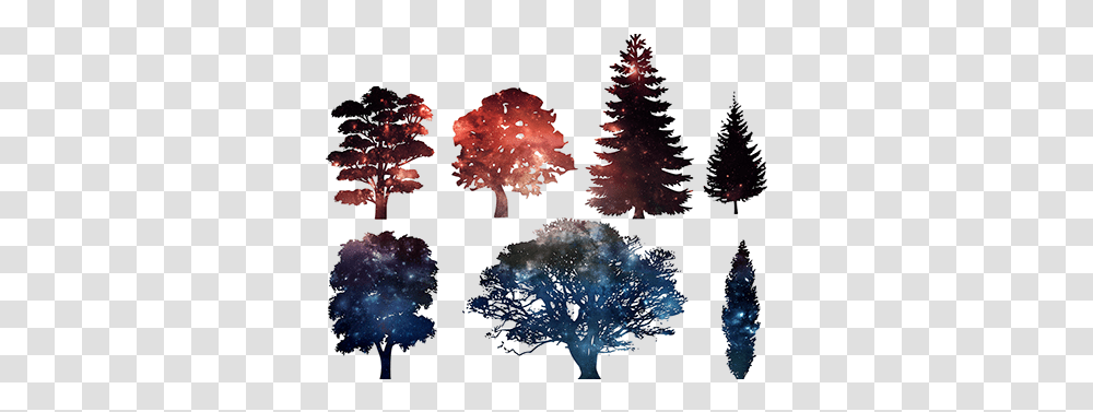 Download Pine Tree Silhouette Image With No Background Free Vector Tree Silhouette, Plant, Leaf, Crystal, Outdoors Transparent Png