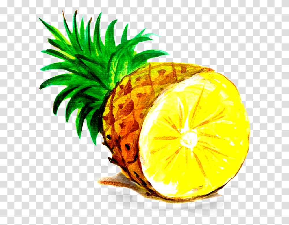 Download Pineapple Cartoon Top Of Pineapple Pineapple Images Cartoon, Plant, Fruit, Food, Fungus Transparent Png