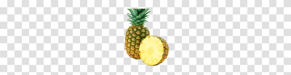 Download Pineapple Free Photo Images And Clipart Freepngimg, Plant, Fruit, Food Transparent Png