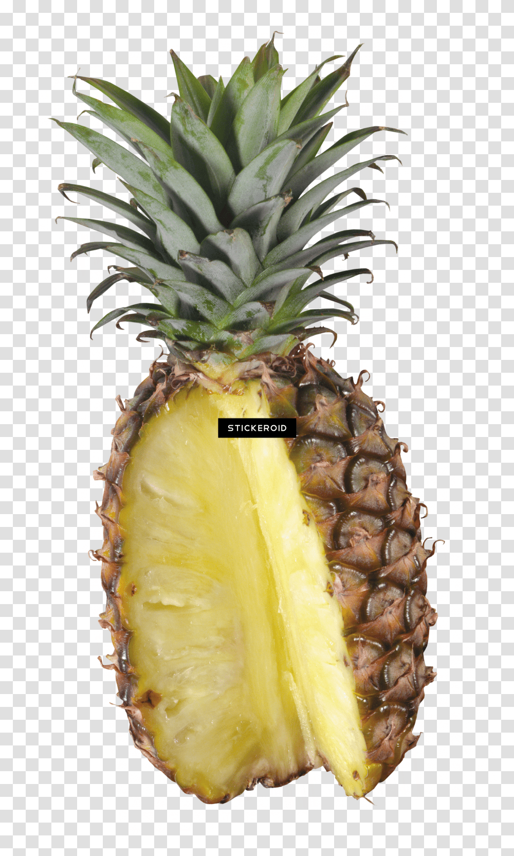 Download Pineapple Fruit Pineapple Image With No Pineapple Transparent Png
