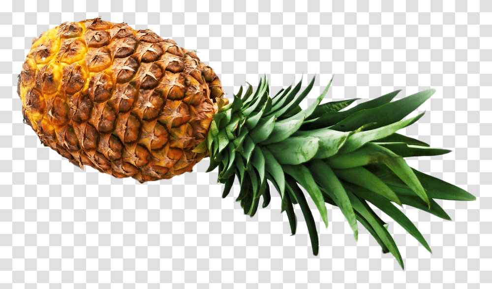 Download Pineapple Image For Free Pineapple, Plant, Fruit, Food Transparent Png
