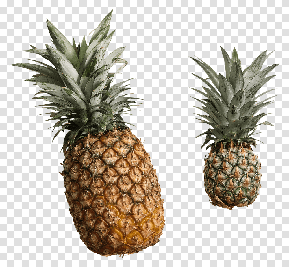 Download Pineapple Image With Ananas, Plant, Fruit, Food Transparent Png