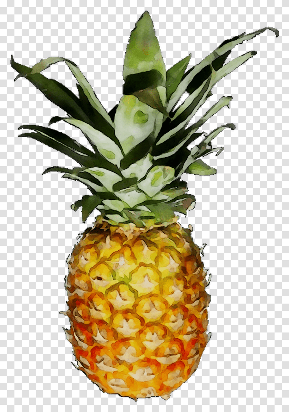 Download Pineapple Jpg Background, Plant, Fruit, Food Transparent Png