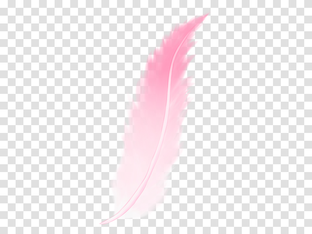 Download Pink Feather Bird, Person, Graphics, Art, Pattern Transparent Png