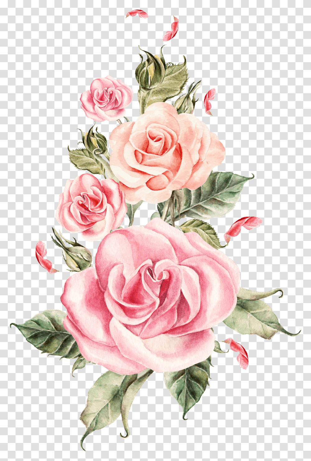 Download Pink Flower Bouquet Rose Roses Wedding Hand Painted Rose Pink Flower Transparent Png
