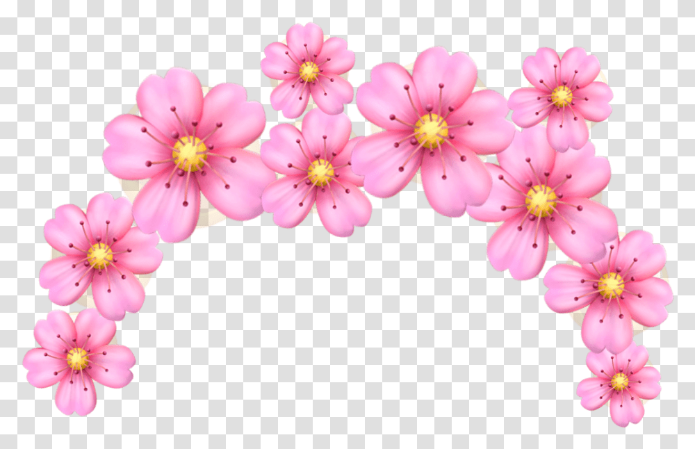 Download Pink Flower Crown Emoji Pinkfloweremojicrown Flower Crowns Emoji, Plant, Blossom, Anther, Cherry Blossom Transparent Png