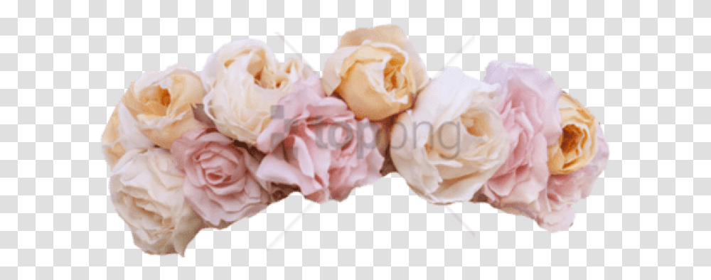 Download Pink Flower Crown Floral Garden Roses, Plant, Blossom, Petal, Sweets Transparent Png