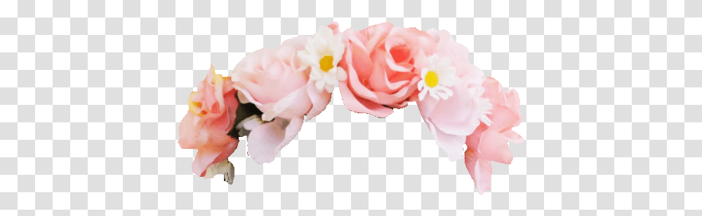 Download Pink Flower Crown, Plant, Blossom, Rose, Hair Slide Transparent Png