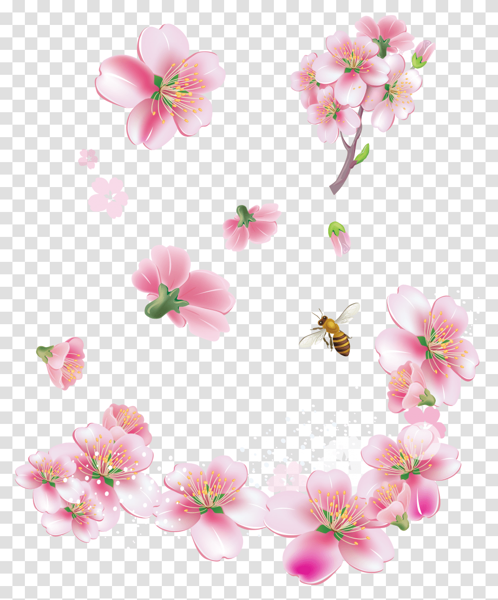 Download Pink Flowers Spring Flowers, Plant, Blossom, Cherry Blossom, Hibiscus Transparent Png