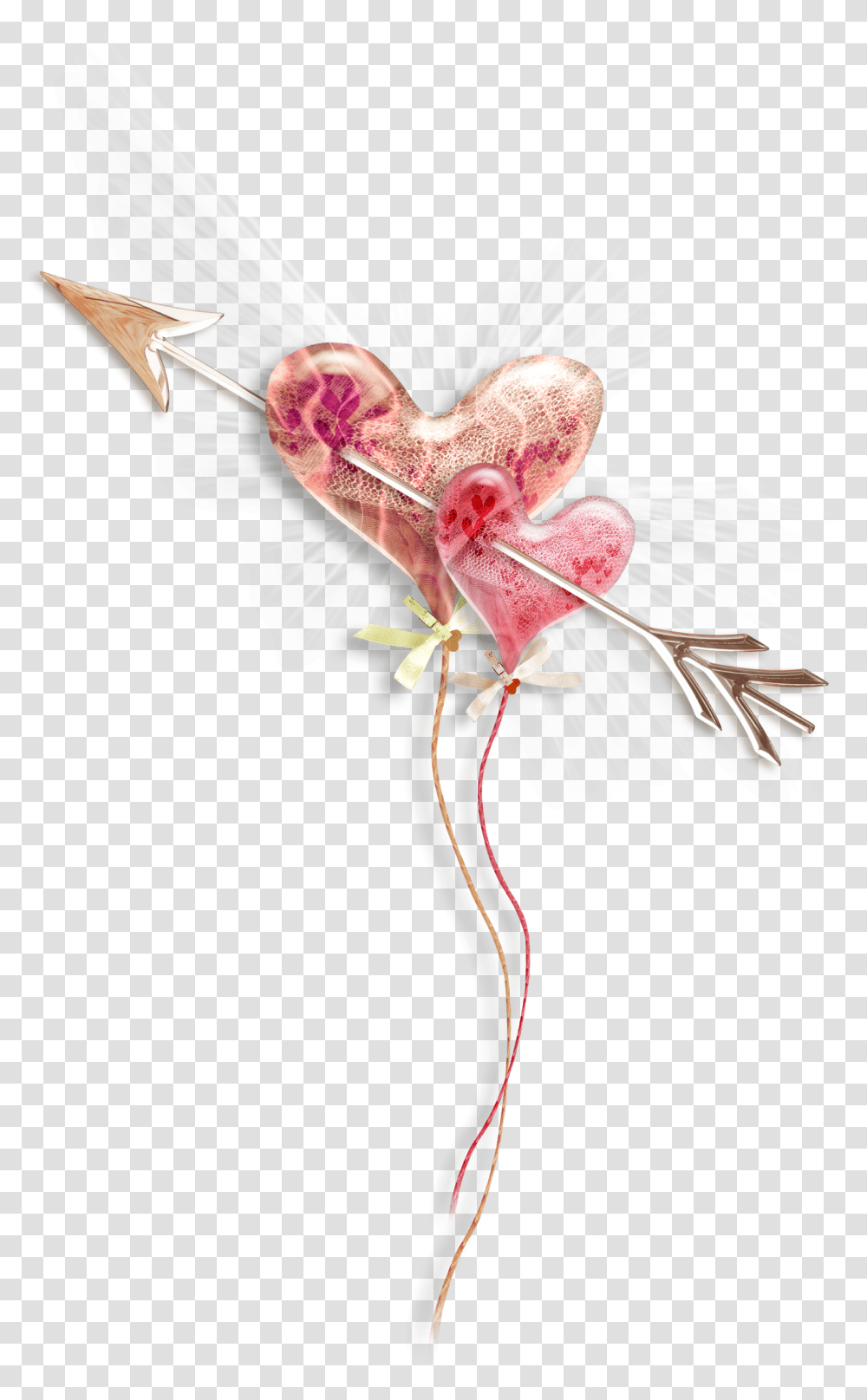 Download Pink Heart Photography Drawing Free Photo Hq Bow, Plant, Flower, Bird, Animal Transparent Png