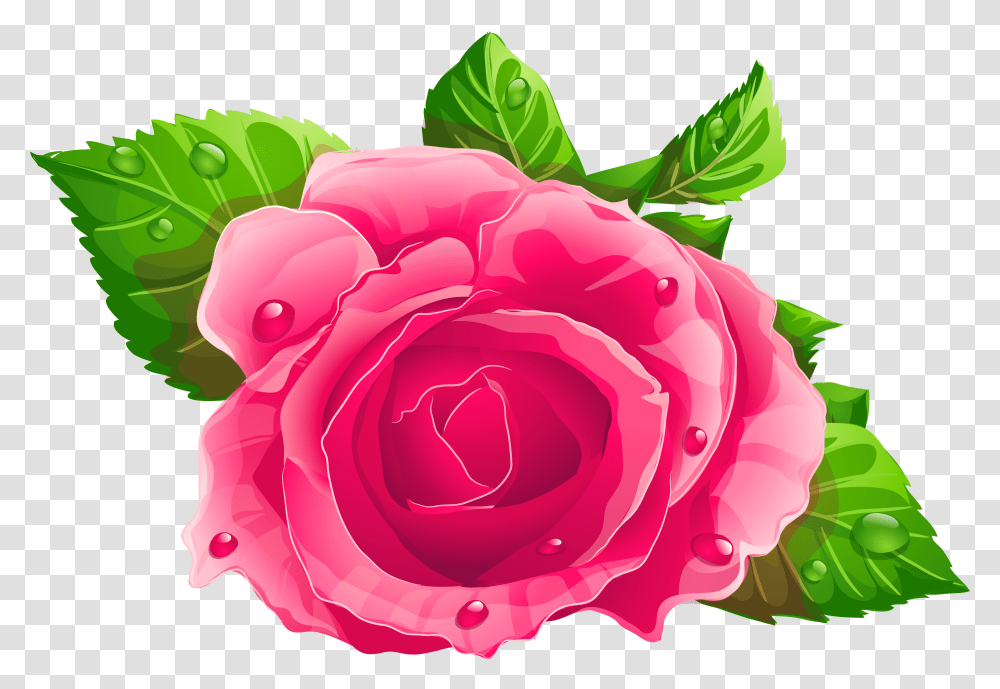 Download Pink Rose Images Pink Rose Clipart, Flower, Plant, Blossom, Carnation Transparent Png