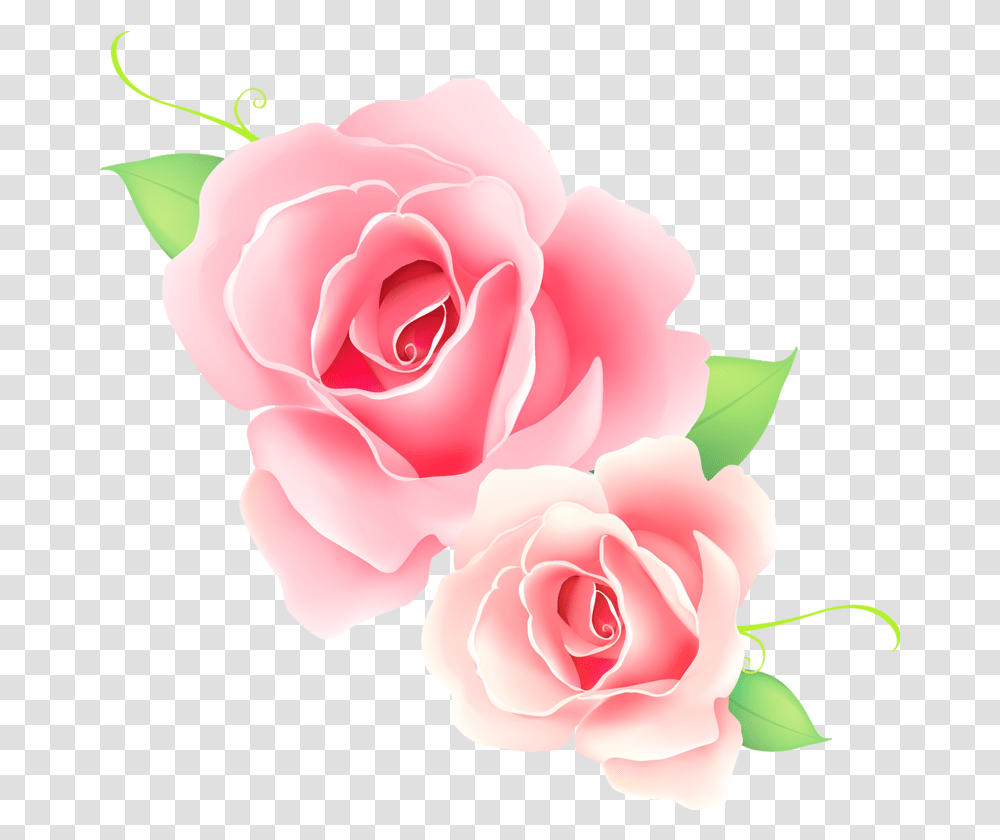 Download Pink Rose Vector Image Happy Parents Day 26 July 2020, Flower, Plant, Blossom, Petal Transparent Png