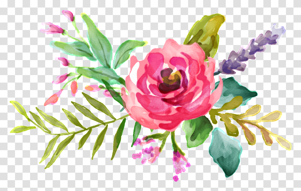Download Pink Watercolor Flower Bouquet Vector Pink Watercolor Flowers, Plant, Rose, Floral Design, Pattern Transparent Png