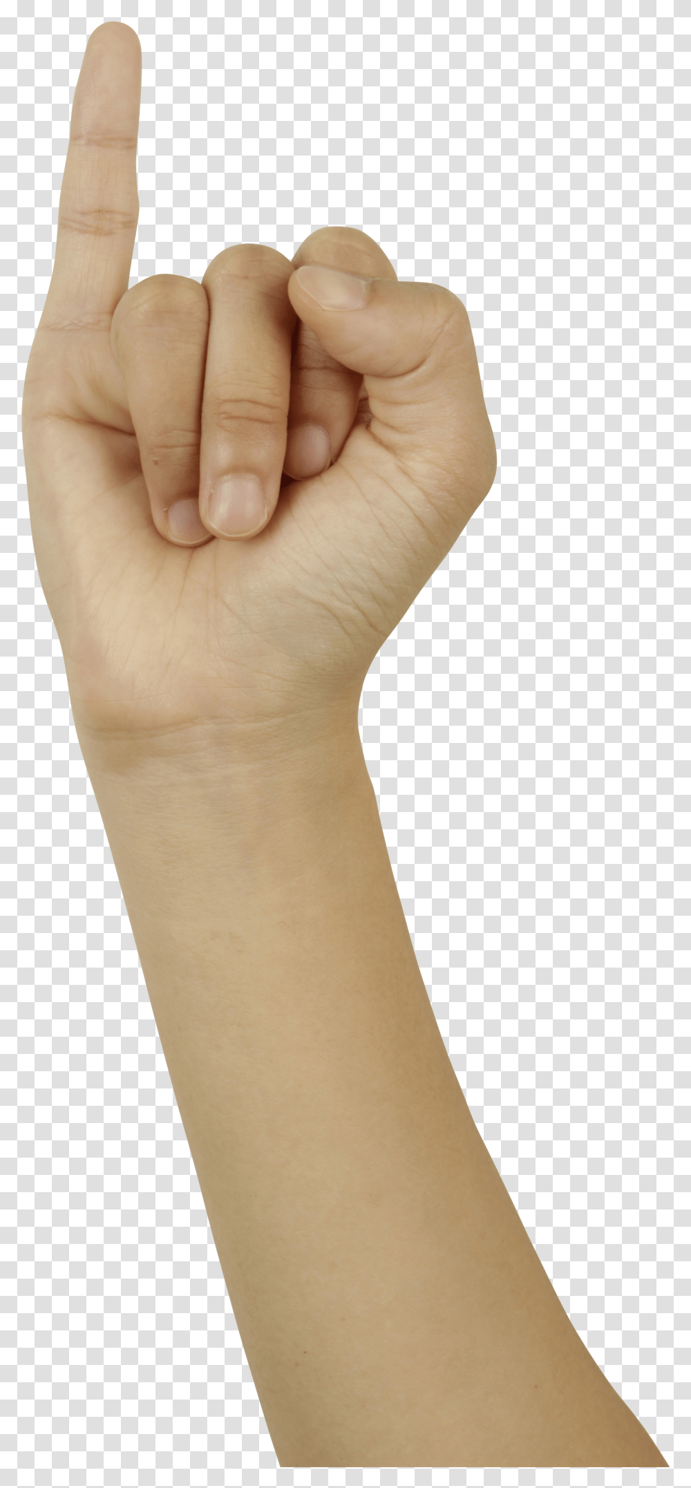 Download Pinky Finger Image For Free Pinky Finger Transparent Png