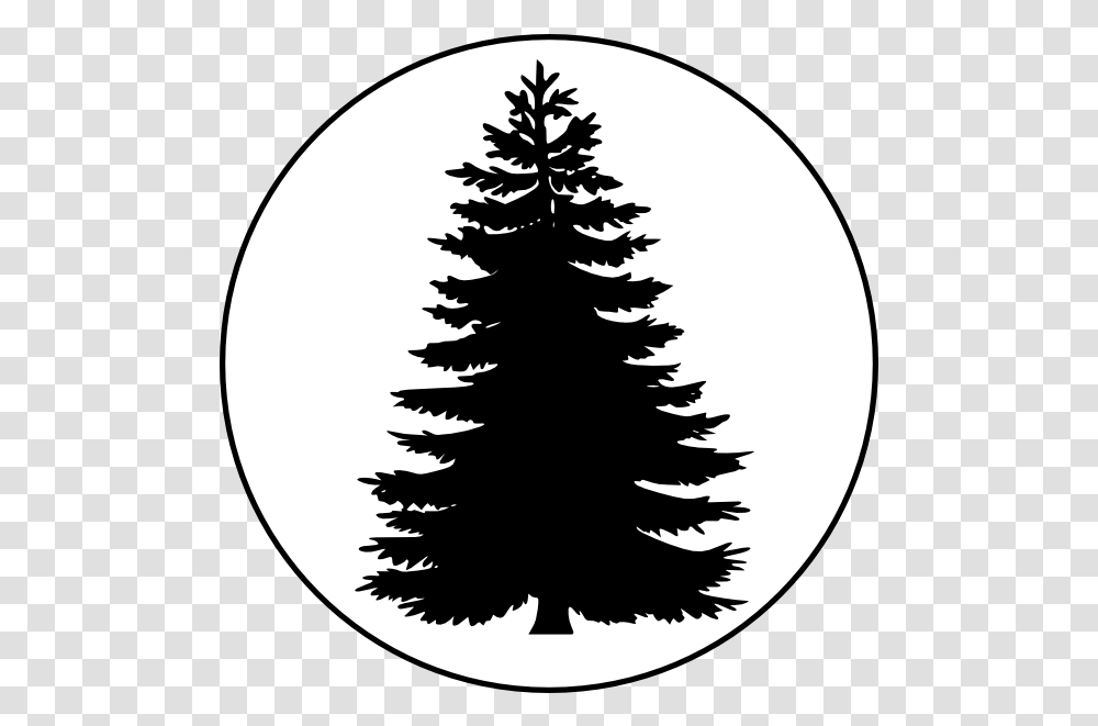 Download Pix For Evergreen Tree Outline Pine Tree Vector Pine Tree, Plant, Silhouette, Fir, Abies Transparent Png
