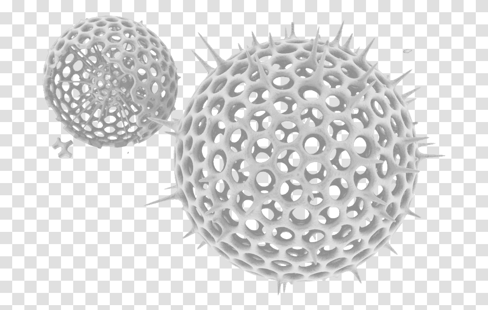 Download Plankton 1user2017 07 05t11 Sea Full Size Circle, Sphere, Fungus, Ball, Hole Transparent Png