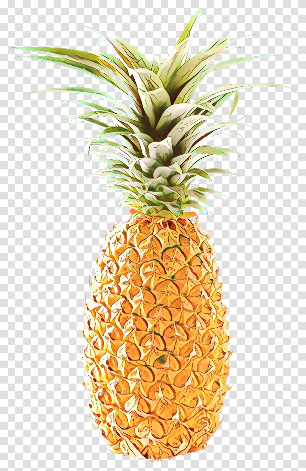 Download, Plant, Pineapple, Fruit, Food Transparent Png